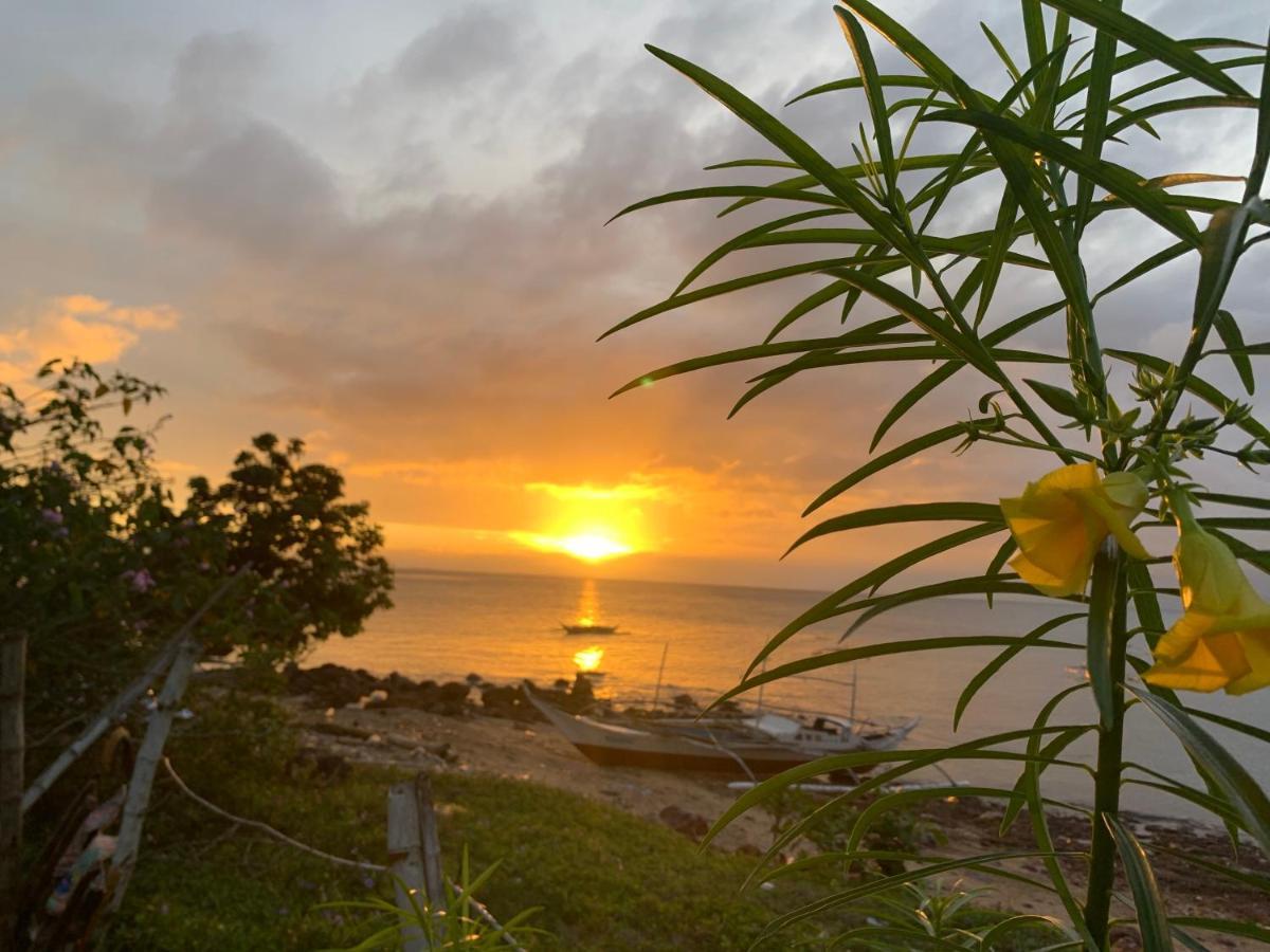Gigante Island Homestay - Balay Sa Gigante Carles Екстериор снимка